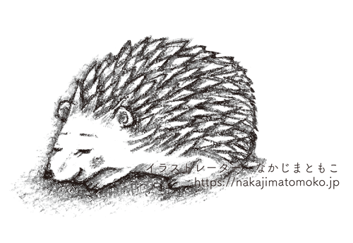 動物のイラストも紹介します 動物 子供 キャラクターのイラストレーター中島智子