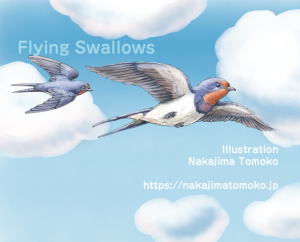 ラッコの生態の絵を描きました かわいいリアルな動物イラスト ３ラッコ 動物 子供 キャラクターのイラストレーター中島智子