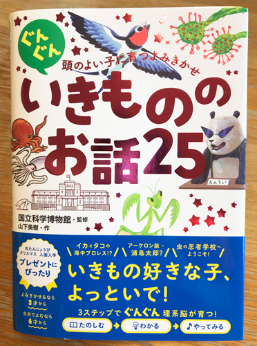 リアルでかわいい動物イラストのお仕事をさせて頂きました 1イカとタコ編 動物 子供 キャラクターのイラストレーター中島智子