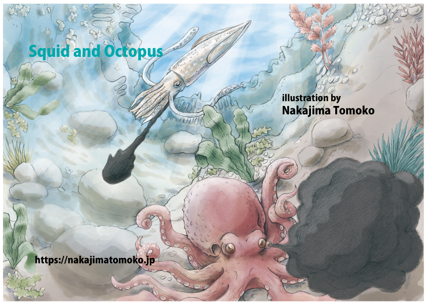 海の中のタコとイカのリアルでかわいい児童書の動物イラスト octpus and squid　illustration